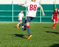 苏诺独家揭,蛇年,期双色球红,中国体彩,中国体彩网,中国体彩网官方首页