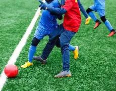 独家揭秘,期双色球号,码大预测,中国体彩,中国体彩网,中国体彩网官方首页