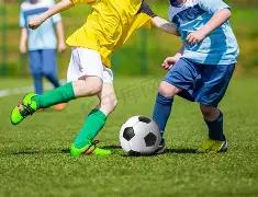 大乐透期号,专家推荐质,合分析,中国体彩,中国体彩网,中国体彩网官方首页