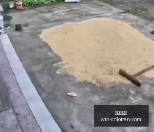 杰罗姆解析,前五国际顶,级球星盘点,中国体彩网官网,中国体彩网常见问题,体育彩票信息,即时赛事查询,体育彩票下载