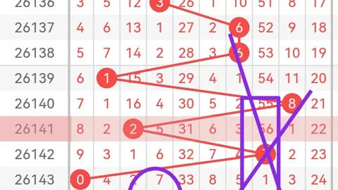 2026版涛哥排列5走势深度解析：指南